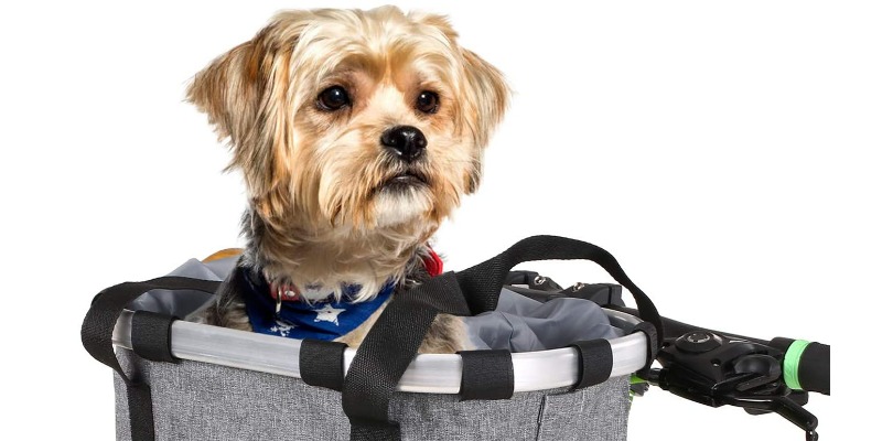 R&R: Trasportino da Bici per Cani e Gatti in Materiali Riciclabili