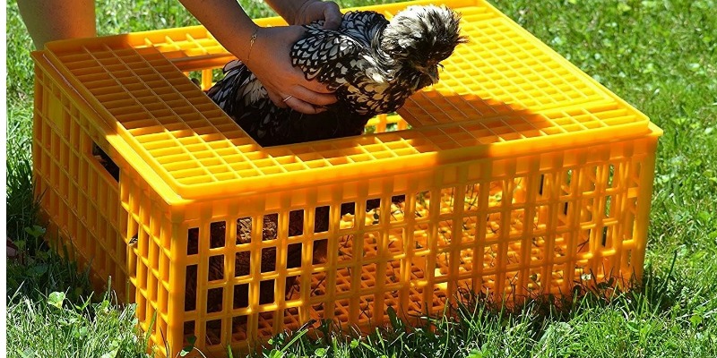 rMIX: Il Portale del Riciclo nell'Economia Circolare - Venta de jaulas plásticas para transporte de aves, pollos, conejos.