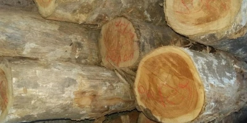 rMIX: Négoce de Panneaux Bois MDF Aggloméré et SBS