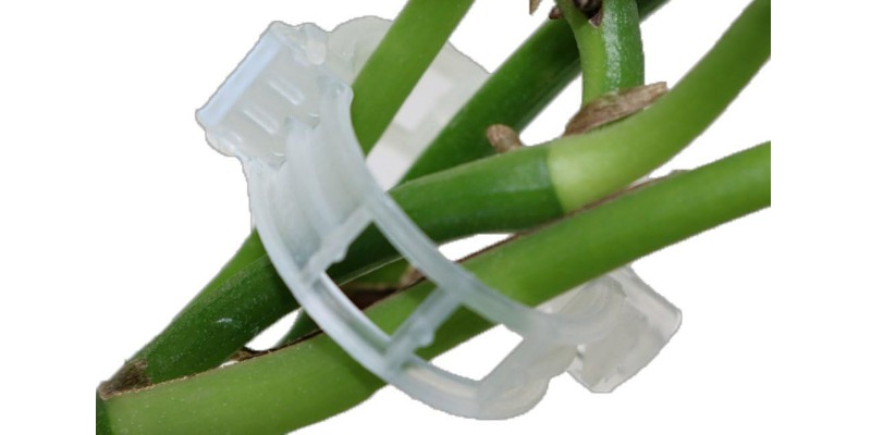 rMIX: Il Portale del Riciclo nell'Economia Circolare - Clips de plástico para vides, plantas trepadoras, tomates, calabacines. #publicidad