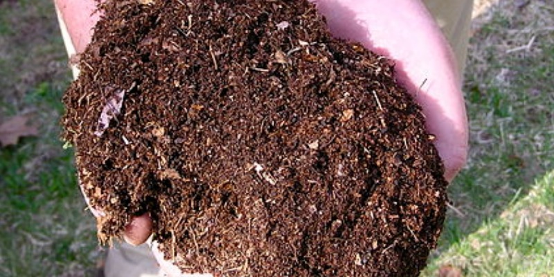 rMIX: Produzione di Compost Organico e Biogas dai Rifiuti